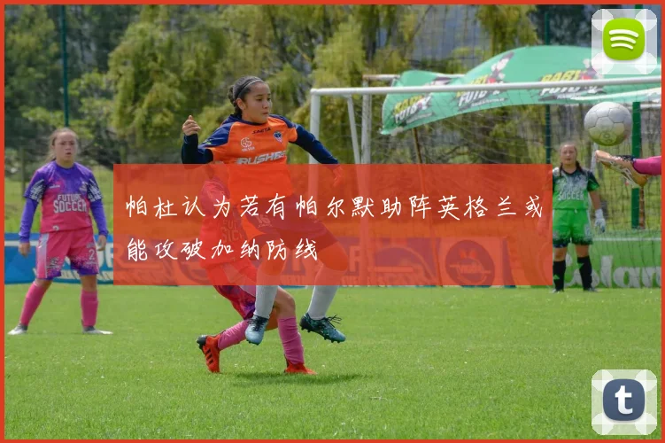 帕杜认为若有帕尔默助阵英格兰或能攻破加纳防线
